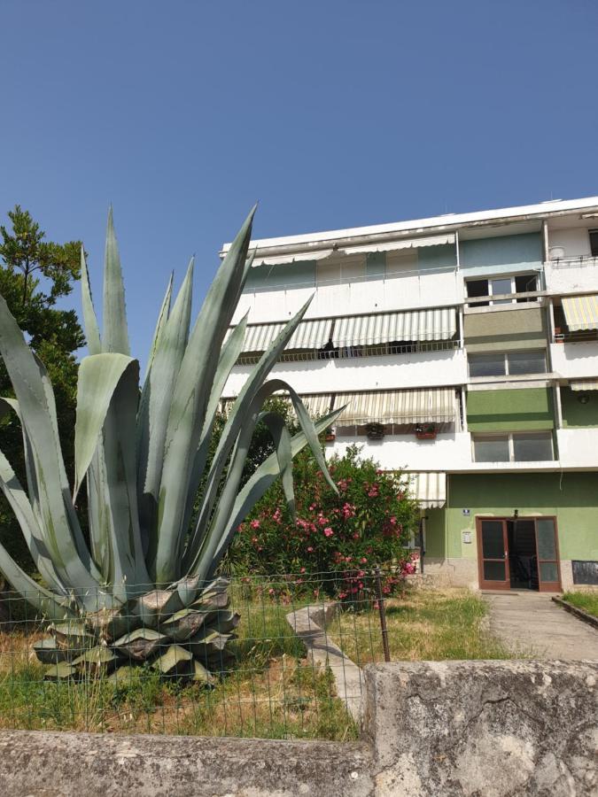 Apartment Maeistro By Privileggio Residence Rovinj Bagian luar foto